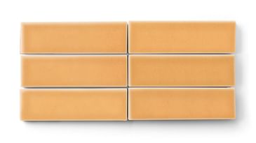 Tile: Koi Gloss Tile - Field (3x9)